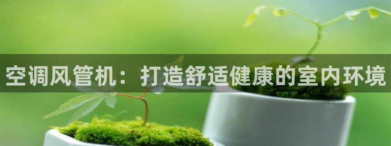 环球360报表
