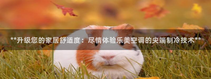 环球360管理系统入口在哪