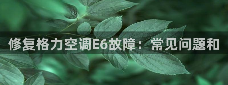 环球360会员登录不上去