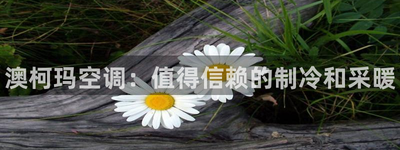 环球360会员注册 - 环球360手机版登录入口
