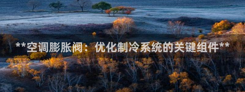 环球360手机版官方网站下载安装