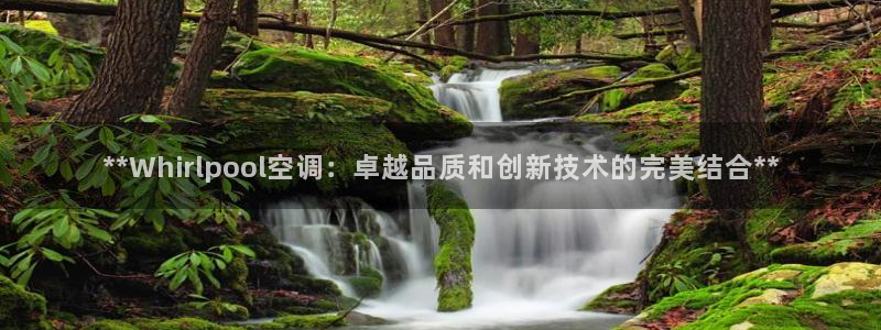 环球360论坛