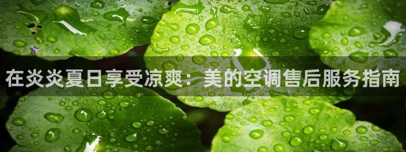 环球360线路检测