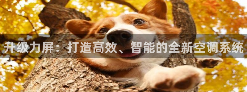 环球360官方网站入口