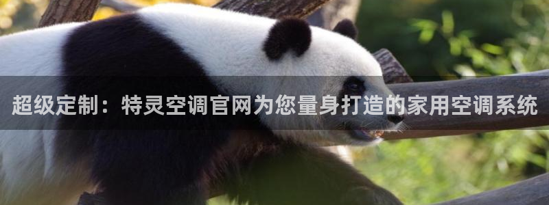 环球360假网多少钱1万分