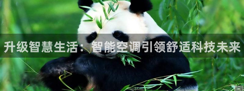 环球360代理